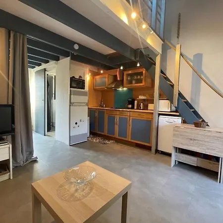 Maison 2 Pieces Avec Mezzanine Cyprien Sc890-102 Saint-Cyprien (Pyrenees-Orientales)