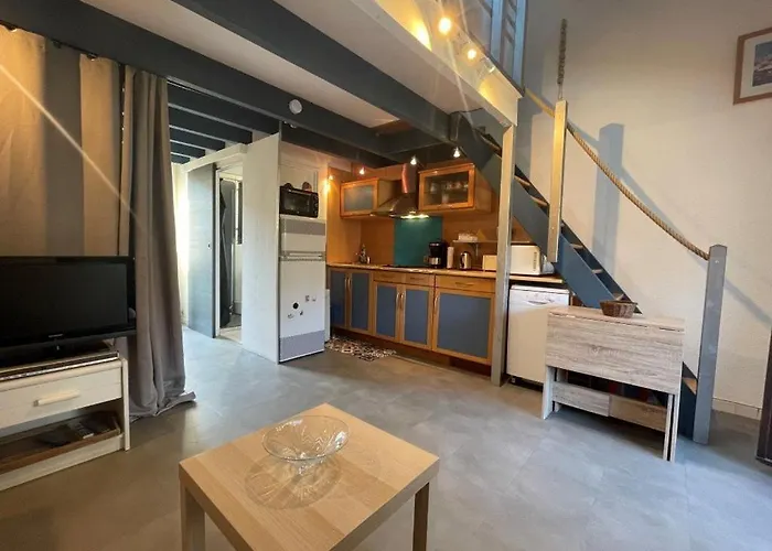 Maison 2 Pieces Avec Mezzanine Cyprien Sc890-102 Saint-Cyprien (Pyrenees-Orientales)